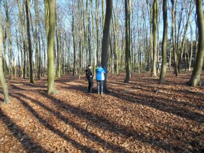 Foto des Albums: Waldprojekt des WPU 7 Naturwissenschaften
