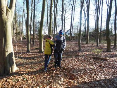Foto des Albums: Waldprojekt des WPU 7 Naturwissenschaften