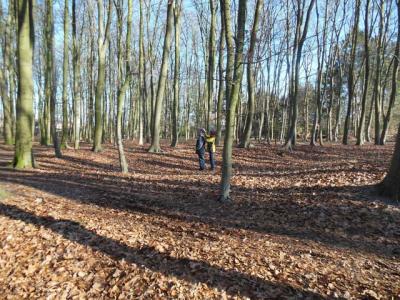 Foto des Albums: Waldprojekt des WPU 7 Naturwissenschaften