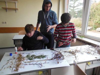 Foto des Albums: Waldprojekt des WPU 7 Naturwissenschaften