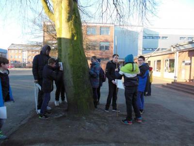 Foto des Albums: Waldprojekt des WPU 7 Naturwissenschaften