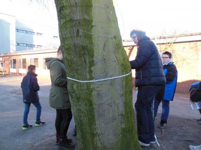 Foto des Albums: Waldprojekt des WPU 7 Naturwissenschaften