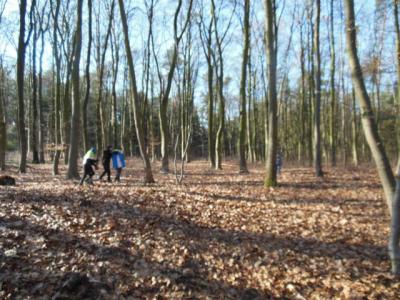 Ausflug zum Liether Wald am 17.2.2016 