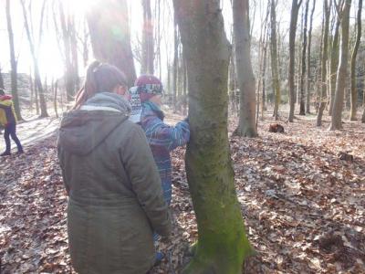 Foto des Albums: Waldprojekt des WPU 7 Naturwissenschaften