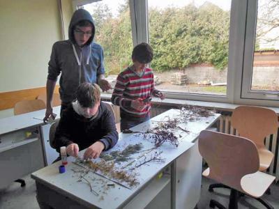 Foto des Albums: Waldprojekt des WPU 7 Naturwissenschaften