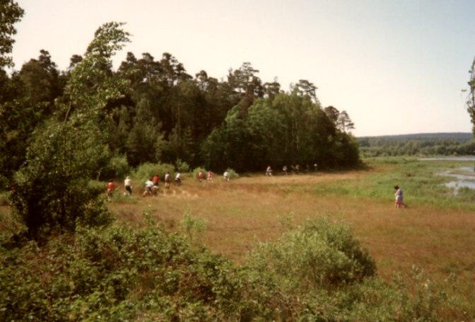 Bild: Im wahrsten Sinne durch Wald und Wiese
