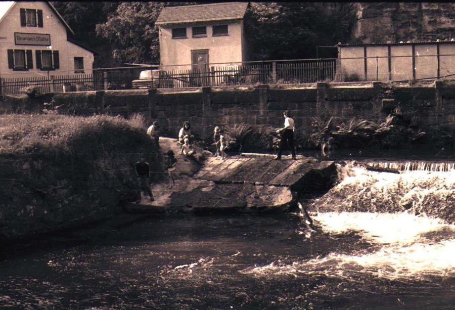 Bild: am Wasser vergeht das Warten auf das Rückholen der Autos von Hinterhermsdorf am schnellsten