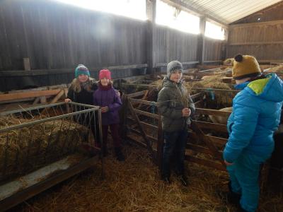 Foto des Albums: Besuch der Klasse 2a bei der Schäferei Klose