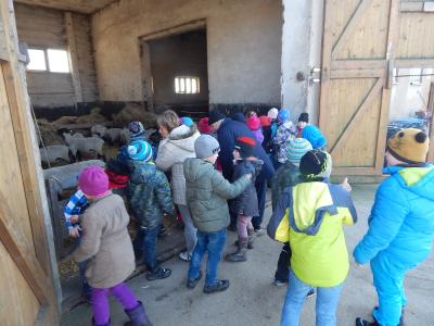 Foto des Albums: Besuch der Klasse 2a bei der Schäferei Klose