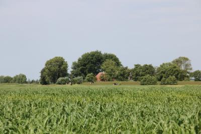 Blick auf Karolinenkoog (Foto: Doris S. J&uuml;rgensen) 