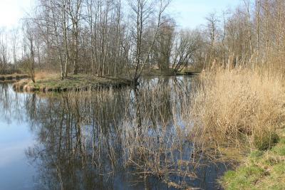Naturteich (Foto: Doris S. J&uuml;rgensen) 