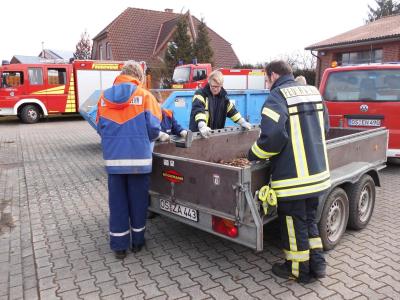 Foto des Albums: Müllsammelaktion