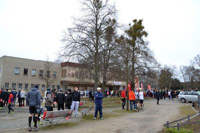 Foto des Albums: Bilder vom 27. Lauf der Sympathie von Falkensee nach Spandau