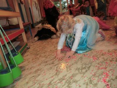 Foto des Albums: Fasching 2016