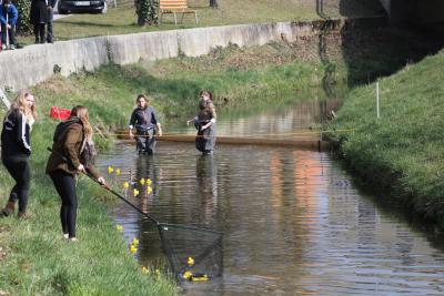 Foto des Albums: 2.Wallersdorfer Entencup  am Marktsonntag 20.03.16