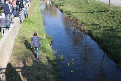 Foto des Albums: 2.Wallersdorfer Entencup  am Marktsonntag 20.03.16