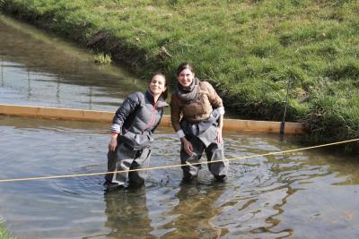 Foto des Albums: 2.Wallersdorfer Entencup  am Marktsonntag 20.03.16