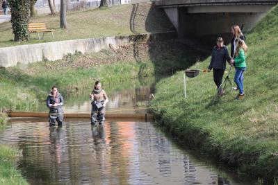 Foto des Albums: 2.Wallersdorfer Entencup  am Marktsonntag 20.03.16