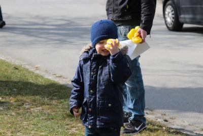 Foto des Albums: 2.Wallersdorfer Entencup  am Marktsonntag 20.03.16