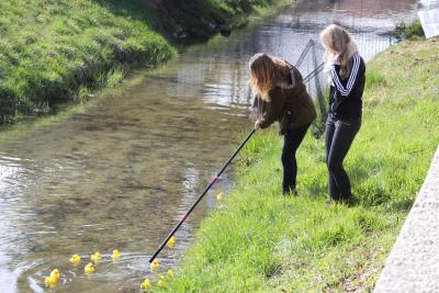 Foto des Albums: 2.Wallersdorfer Entencup  am Marktsonntag 20.03.16