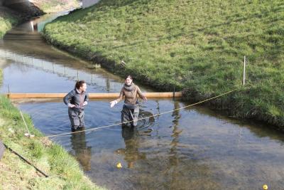 Foto des Albums: 2.Wallersdorfer Entencup  am Marktsonntag 20.03.16