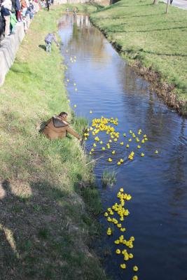 Foto des Albums: 2.Wallersdorfer Entencup  am Marktsonntag 20.03.16