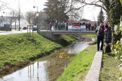 Foto des Albums: 2.Wallersdorfer Entencup  am Marktsonntag 20.03.16