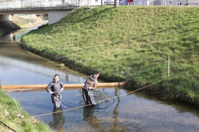 Foto des Albums: 2.Wallersdorfer Entencup  am Marktsonntag 20.03.16