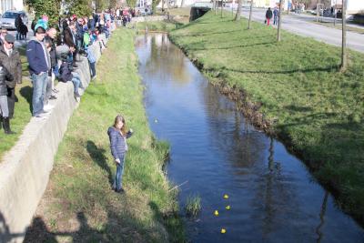 Foto des Albums: 2.Wallersdorfer Entencup  am Marktsonntag 20.03.16
