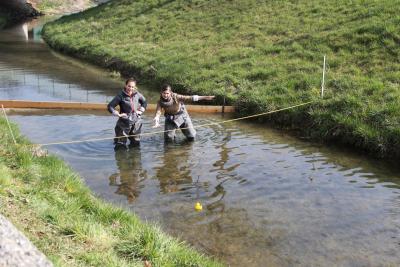 Foto des Albums: 2.Wallersdorfer Entencup  am Marktsonntag 20.03.16