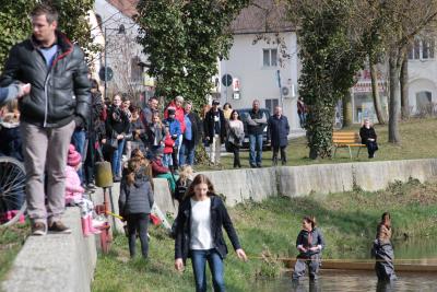 Foto des Albums: 2.Wallersdorfer Entencup  am Marktsonntag 20.03.16