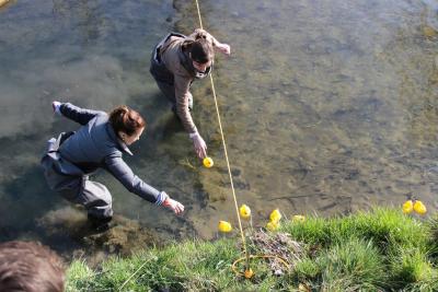 Foto des Albums: 2.Wallersdorfer Entencup  am Marktsonntag 20.03.16