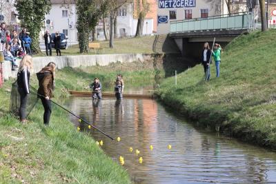 Foto des Albums: 2.Wallersdorfer Entencup  am Marktsonntag 20.03.16