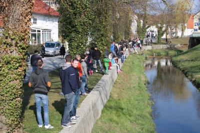 Foto des Albums: 2.Wallersdorfer Entencup  am Marktsonntag 20.03.16