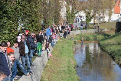 Foto des Albums: 2.Wallersdorfer Entencup  am Marktsonntag 20.03.16