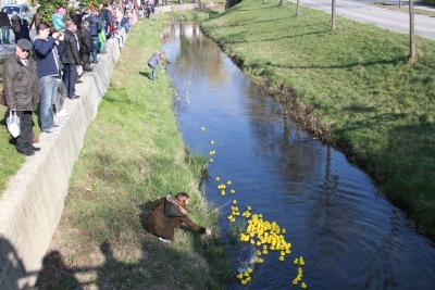 Foto des Albums: 2.Wallersdorfer Entencup  am Marktsonntag 20.03.16
