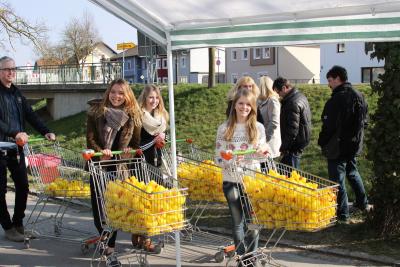 Foto des Albums: 2.Wallersdorfer Entencup  am Marktsonntag 20.03.16
