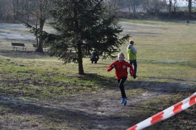 Foto des Albums: UDG - Cross - Cup Jamikow