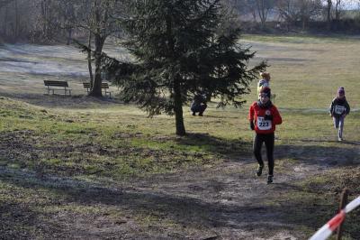 Foto des Albums: UDG - Cross - Cup Jamikow
