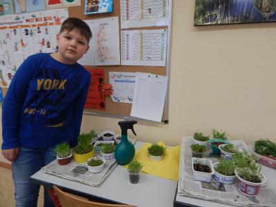 Foto des Albums: Ostern in der Klasse 1b