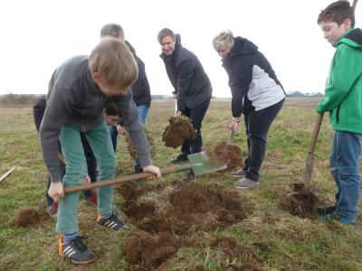 Foto des Albums: Streuobstwiese von Grundschülern und Christinen Brunnen entsteht