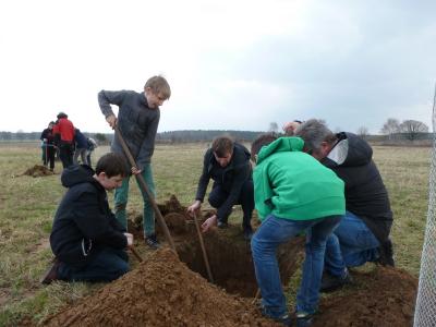 Foto des Albums: Streuobstwiese von Grundschülern und Christinen Brunnen entsteht