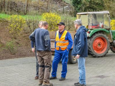 Foto des Albums: Umwelttag Mandel