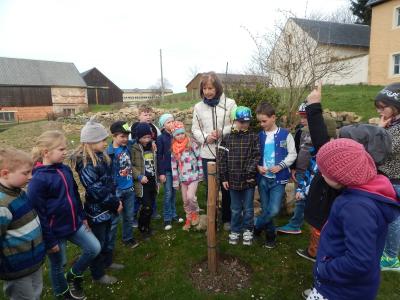 Foto des Albums: Beobachtung der gesponserten Apfelbäume