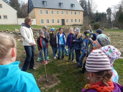 Foto des Albums: Beobachtung der gesponserten Apfelbäume