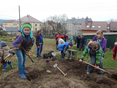 Foto des Albums: Schulgarteneinsatz
