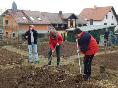 Foto des Albums: Schulgarteneinsatz