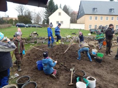 Foto des Albums: Schulgarteneinsatz