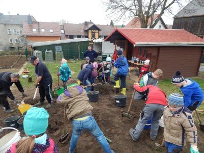Foto des Albums: Schulgarteneinsatz