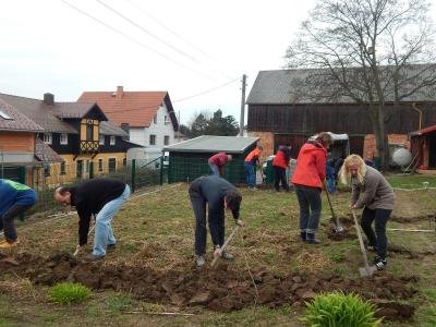 Foto des Albums: Schulgarteneinsatz